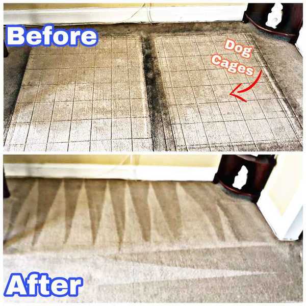 Before & After Carpet Cleaning in Philadelphia, PA (1)