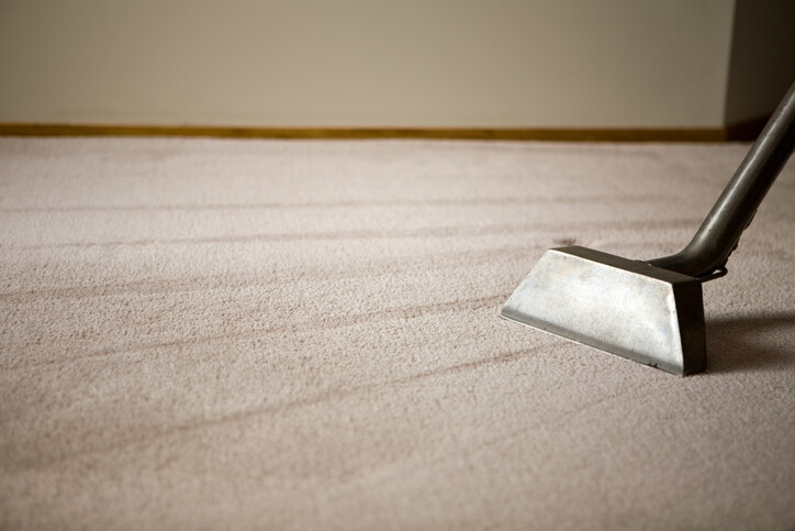 Steam Cleaning by I Clean Carpet And So Much More LLC