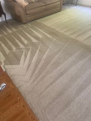 Carpet Cleaning in Philadelphia, PA (1)
