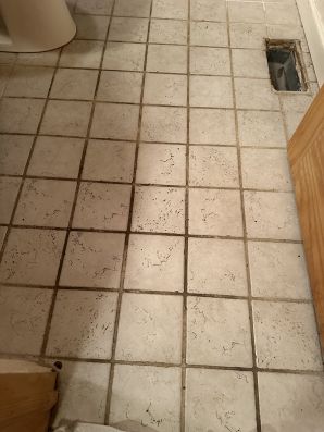 Tile And Grout Cleaning Services in Warrington, PA (2)