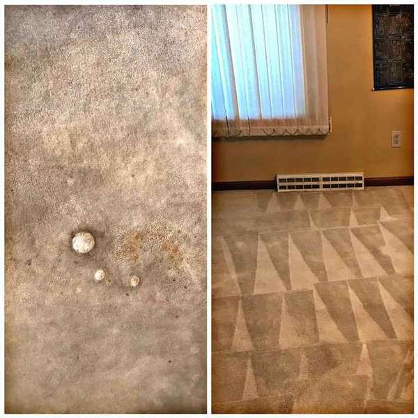 Before & After Carpet Stain Removal in Willow Grove, PA (1)