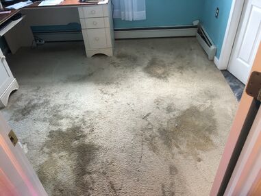 Before & After Carpet Stain Removal in Philadelphia, PA (1)