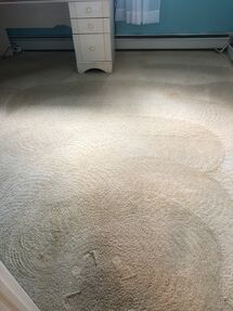 Before & After Carpet Stain Removal in Philadelphia, PA (2)