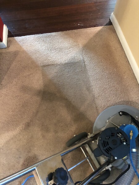 Carpet Cleaning in Philapelphia, PA (1)