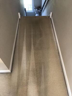 Before & After Carpet Cleaning in Philadelphia, PA (2)