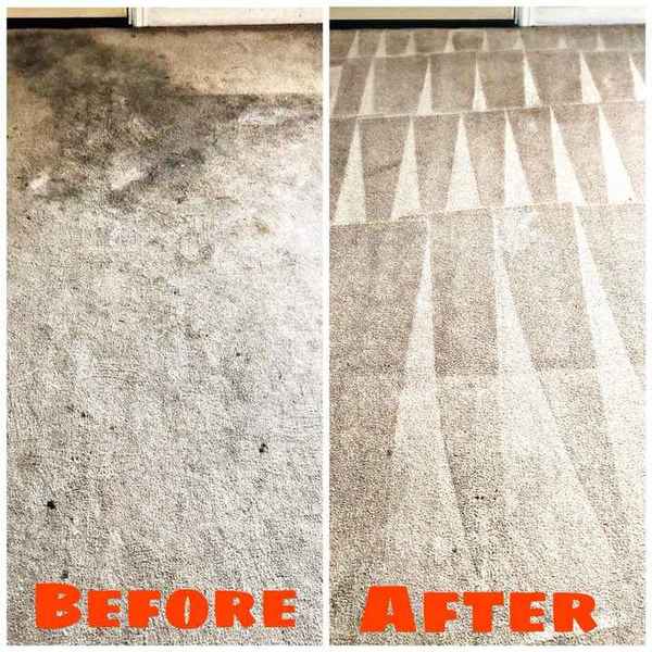Before & After Carpet Stain Removal in Glenside, PA (1)